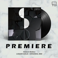 PREMIERE: Robert Babicz - Liquid Gold (Original Mix) [STRIPPED DOWN RECORDS]