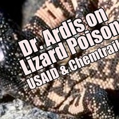 Dr. Ardis on Lizard Poison. USAID and Chemtrails? B2T Show, Feb 7, 2025