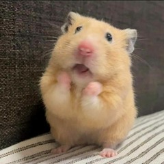 playlist cute theee