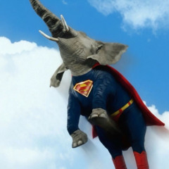 GAJAH TERBANG REQ BY BATONG X OMYUD - LEMAZZ