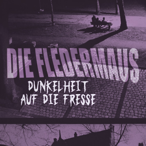 Lieber arm dran (Der Einarmige)