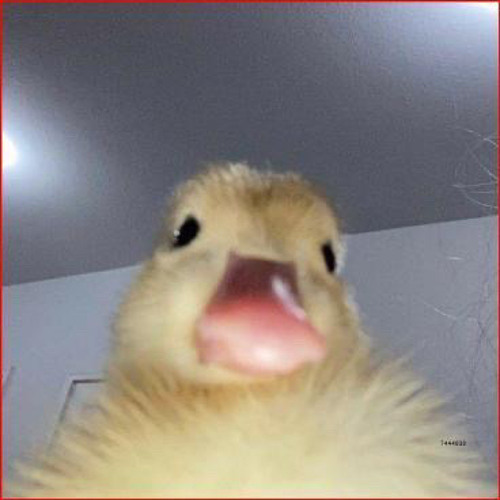 Alberto Grasu - 6 6 (videoclip nesimtit)