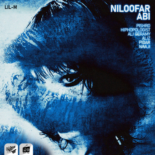 LiL-M - Niloofar Abi
