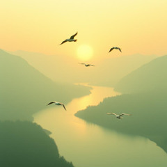 Hej hej hej vtáky nad Dunajom