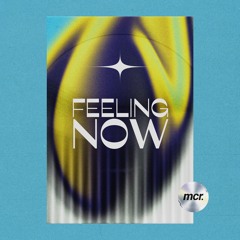 Deun - Feeling Now Ft. Joel Stewart (Original Mix)