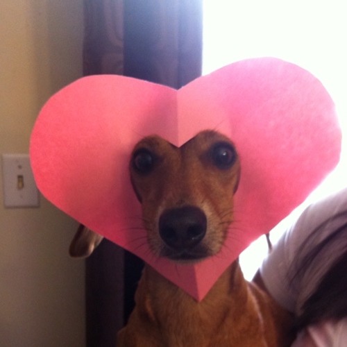 lov3...enough?