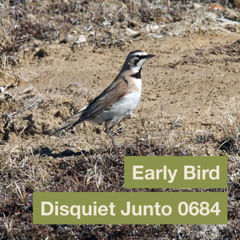SONG 70 - DisquietJunto0684 - Early Bird