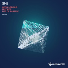 Premiere: GMJ - Rite of Passage [Meanwhile Recordings]