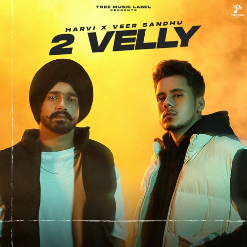 2 Velly By Harvi, Veer Sandhu | Coin Digital | New Punjabi Songs 2022