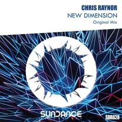 Chris Raynor - New Dimension (Original Mix)