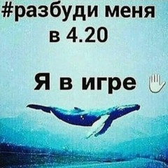 Синий Кит + Maruchi [k4neswagga + greyrock]