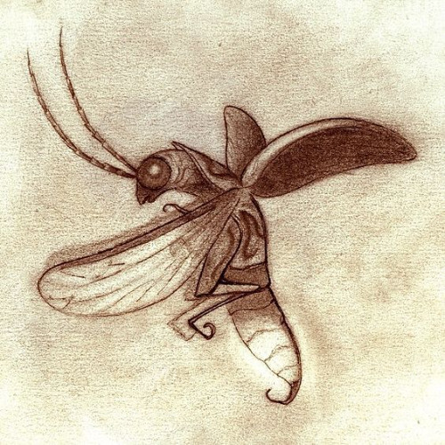 Firefly (2025 version)
