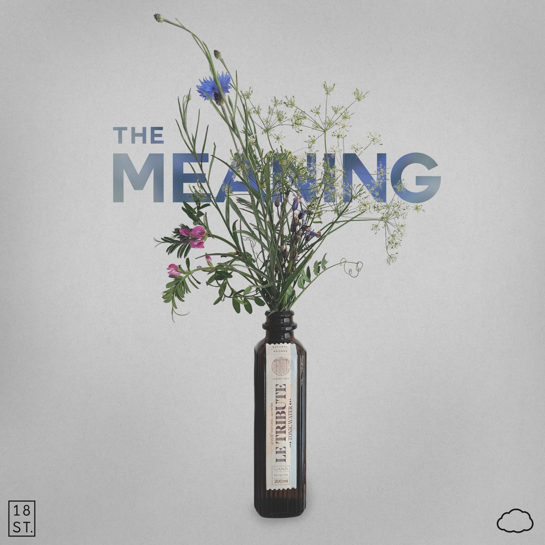 Stream The Meaning by NTHN | Listen online for free on SoundCloud