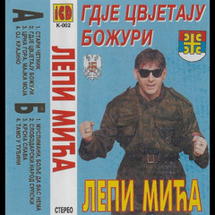 Lepi Mića - Crna Gora Majka Moja (1994)