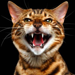 Remynio @ Garage 2025