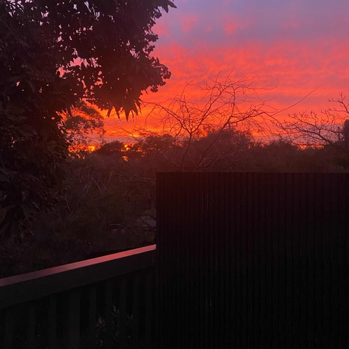 Frog bass synth n keys