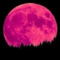 Pink Moon