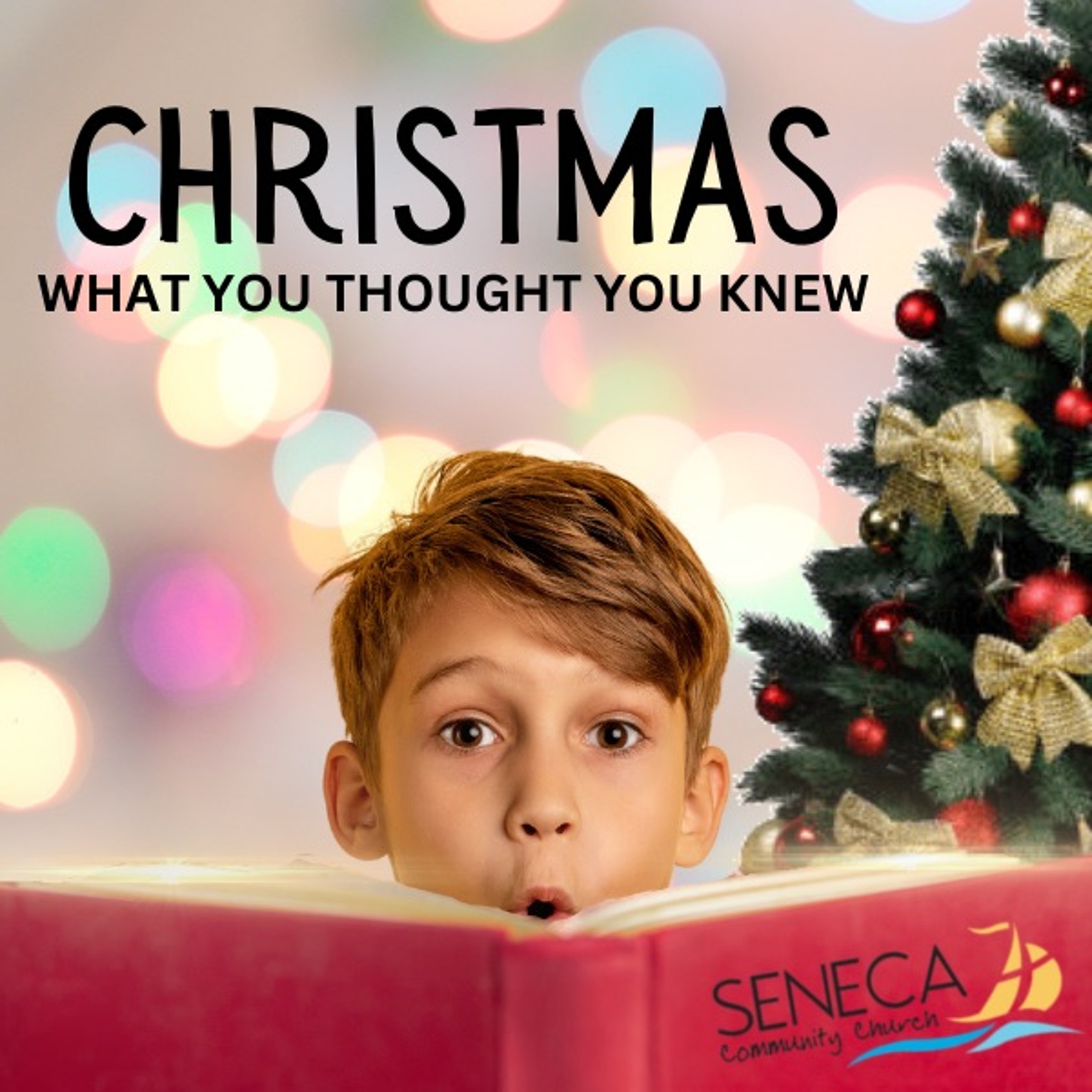 12/17/2023 - Christmas (What You Thought You Knew) - Part 3: Meet the Shepherds episode artwork
