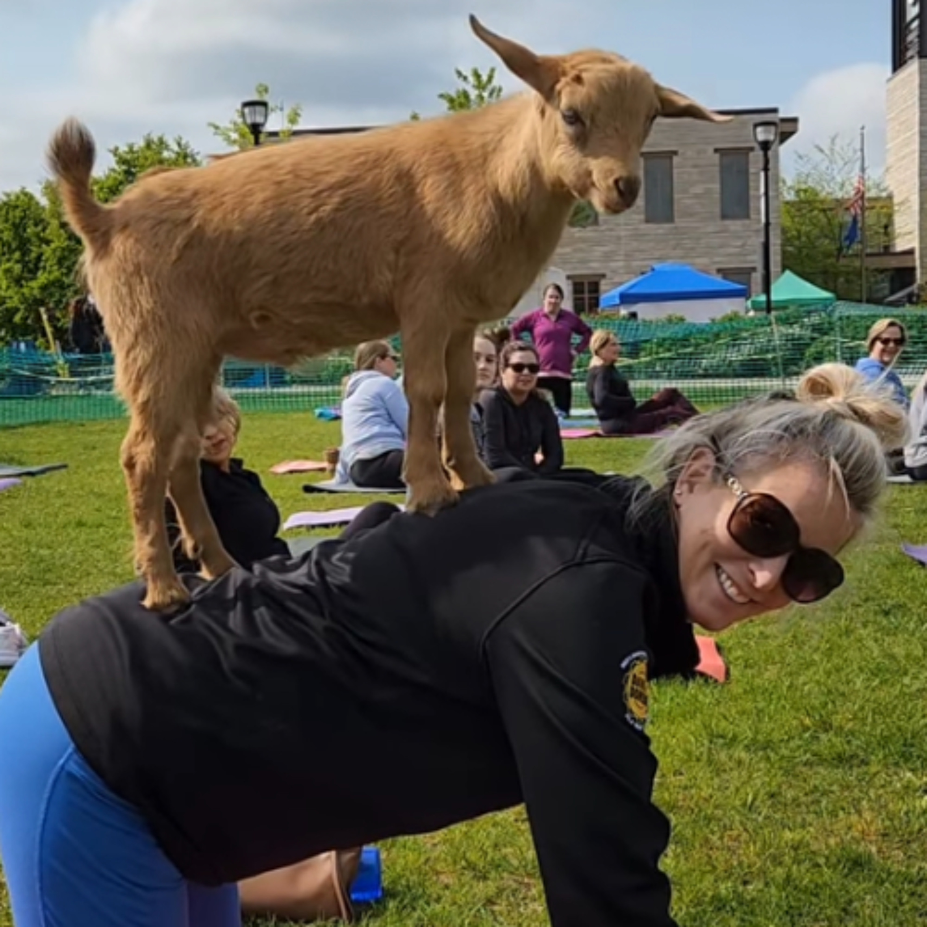 Snake Yoga (3/12/26)