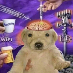 la flemmee c avec JUL (la flemme c'est le nom du son et jul c'est pas le mec de marseill)