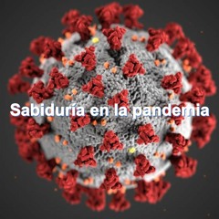 Sabiduría En La Pandemia Parte 9 “Sabiduría para saber que nada es nuevo en medio de la pandemia.” 1