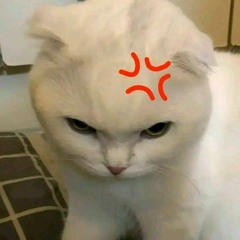 -OKE BOXING!!-[ANTONIO DAMANIK X YUDI ARTAMA]#BOXINGKALKAL!!