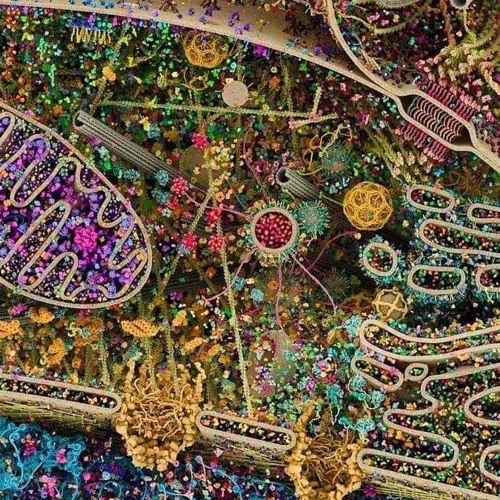 frequency, vibration, resonance,the parties i played on many parties are not there  anymore in real Life thousands off akkerlands gone 🤭☺️ protecting 🧿 bin there done that ☺️🤭🧿 nightlife,s when at age are unhealthy 🙂↕️ sex drug rock &roll 🙂↕️