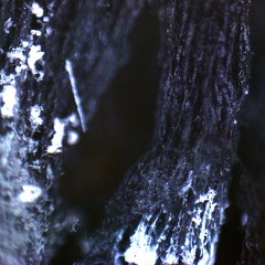 [Premiere] SLTR - SW.2