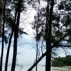 OKDAL(옥상달빛)-수고 했어 오늘고 Medley DAY6 (데이식스)-Well done again my friend (Cover)