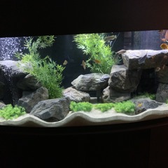 Dirty Fingers -=HOLLAND mix=-