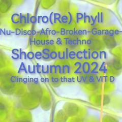 Chloro(Re)Phyll
