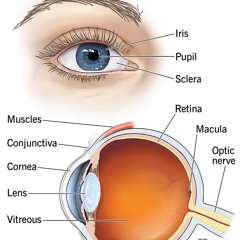 97997ALOMDS songs ig