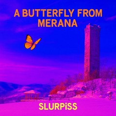 SLURPiSS - A Butterfly from Merana