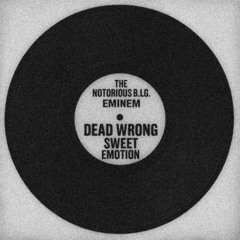 Aerosmith x The Notorious B.I.G. - Dead Wrong feat. Eminem (Sweet Emotion Mix)
