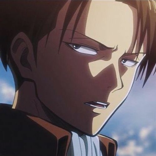 Captain Levi || No Regrets