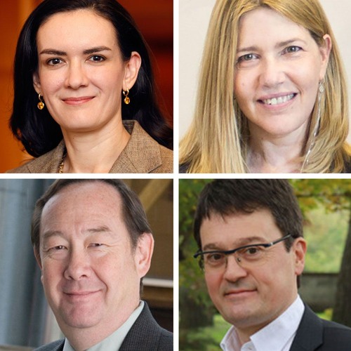 Economic Inequality in Preindustrial Times: Europe and Beyond