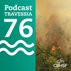 Travessia 76 - Desmatamento na Amazônia cresce em meio à pandemia - Anivaldo Miranda