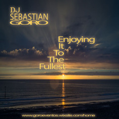 Dj Sebastian Goro - Enjoying It To The Fullest