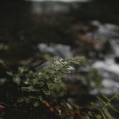 In The Rain