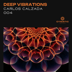 Deep Vibrations 004: Carlos Calzada (Esp-Mex)