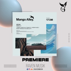 PREMIERE: Seyah - Nebula [Mango Alley]