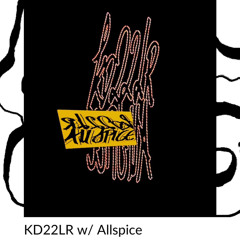 Alto Radio - Allspice