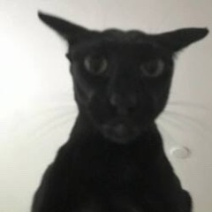 EVIL LARI! (Prod. solsol, bbmonsterdd & hilariouscock)