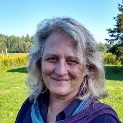 Stream BITE SIZE ELECTION Heather Hay The Housing Crisis SEP 2021