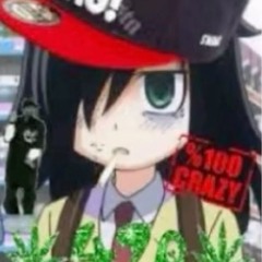 300 p. n2fye