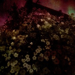 blupain01- it aint right