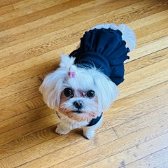 Digital-First Innovation