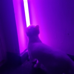 Lightsaber