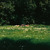 Artwork for Traz Outro Amigo Também (Zeca Afonso cover)