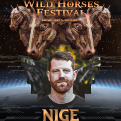 NiGe - WILD HORSES FESTIVAL 2025 CHILL STAGE